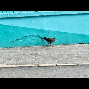 Meet your Posher, Sharon